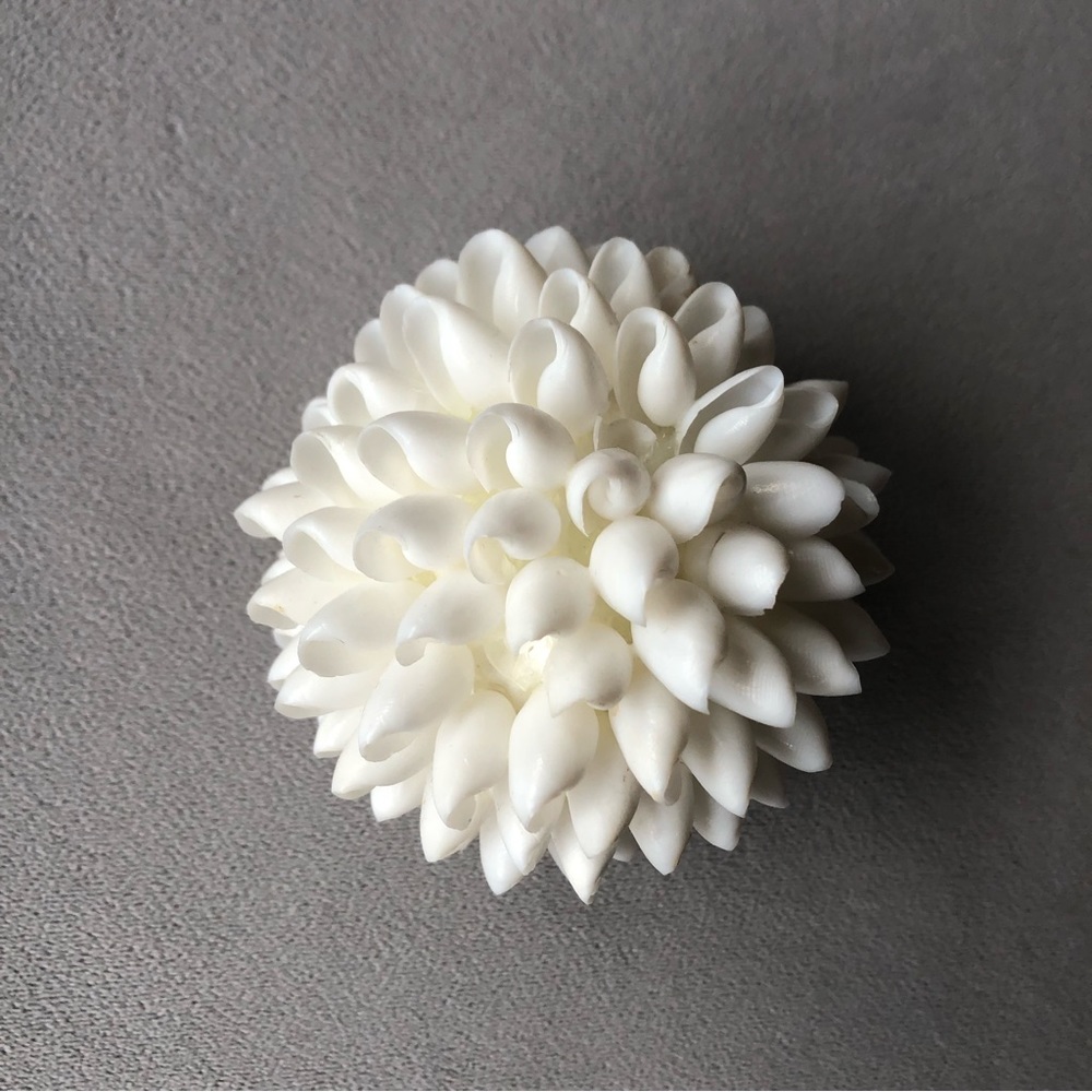 Seashell Decor ~ White ~ 3.5” - Picture 6 of 7